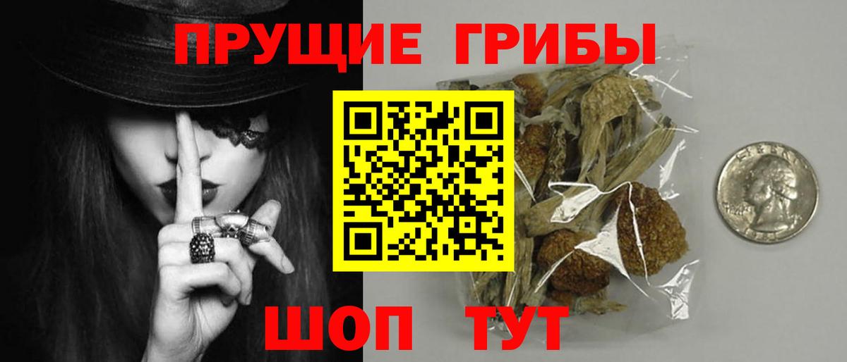 Псилоцибиновые грибы Psilocybine cubensis Реж