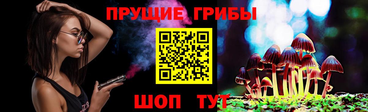 Псилоцибиновые грибы Psilocybe  Вход с VPN  Реж 